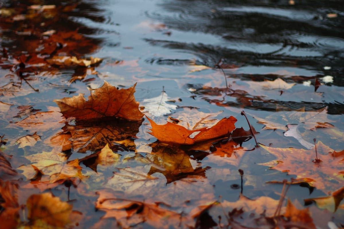 Das ist Hygge: den Regen lieben