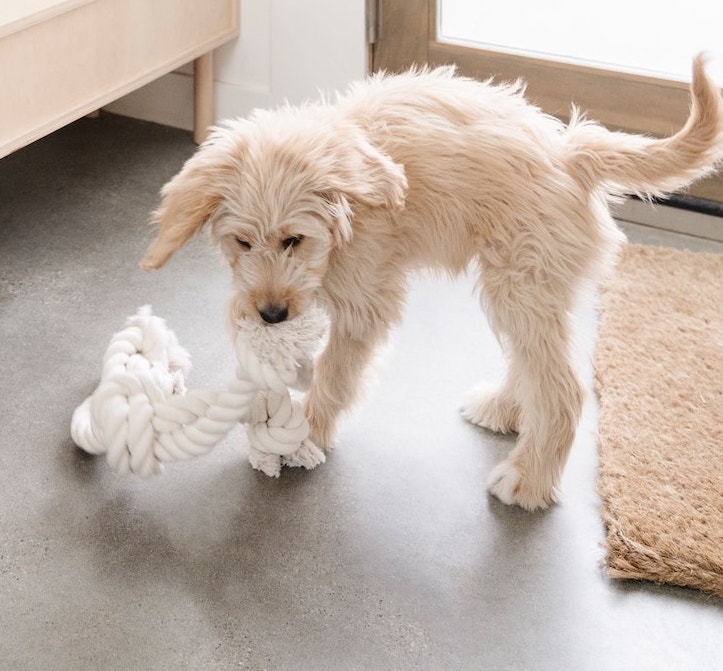 Innenausbau mit Gesamtkonzept für ein Einfamilienhaus - Platz für Eltern, Kids und Hund